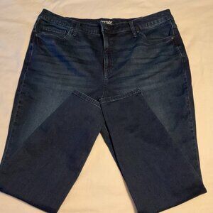 Terra & Sky Skinny Jeans 18W High Rise